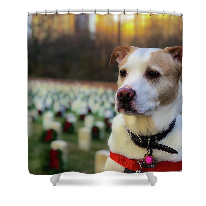 Dog Shower Curtain featuring the photograph With Respect by Lora J Wilson