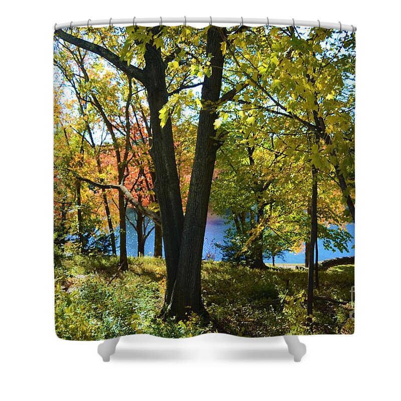 Trees Shower Curtain featuring the photograph With Trees and Water by Dani McEvoy