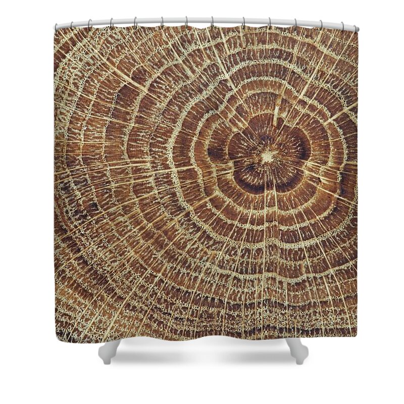 Material Shower Curtain featuring the photograph Wood Cross-section Background by Kalasek
