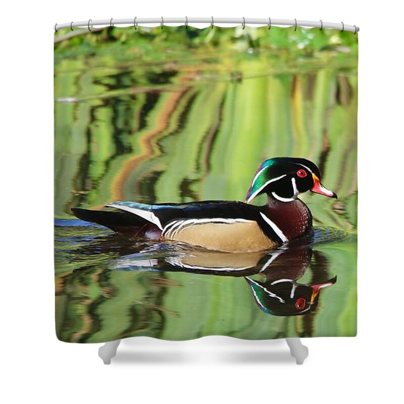 Bird Shower Curtain featuring the photograph Wood Duck Reflection 2 by Todd Kreuter