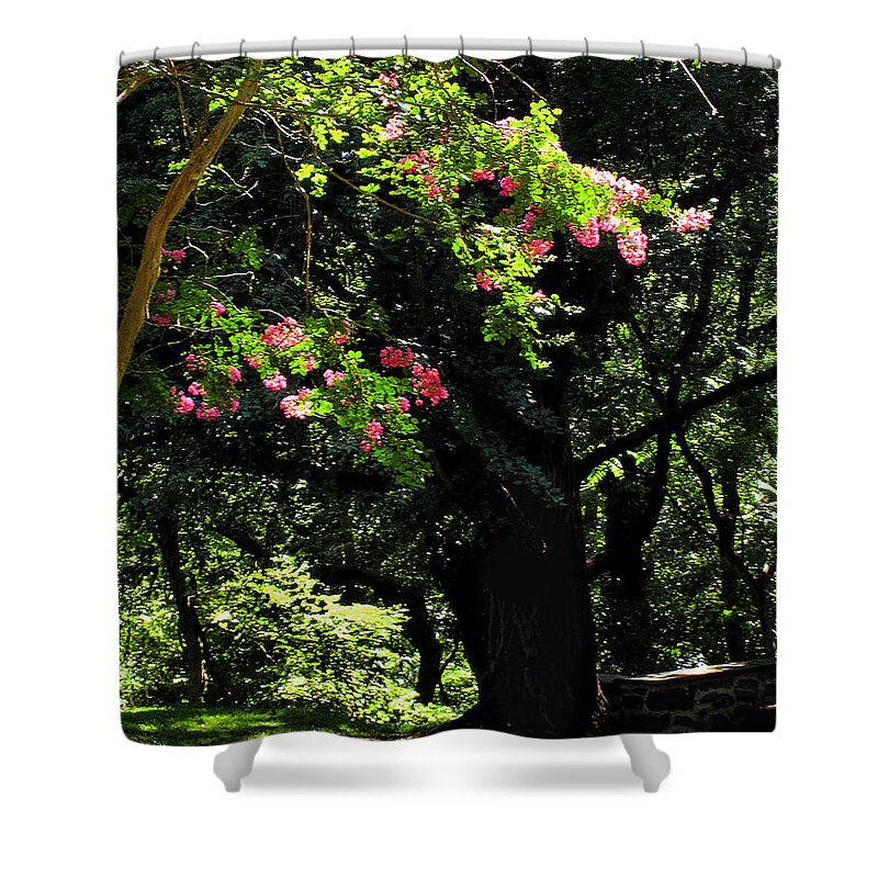 Summer Shower Curtain featuring the photograph Woodland Serenity No.2 by Steve Ember