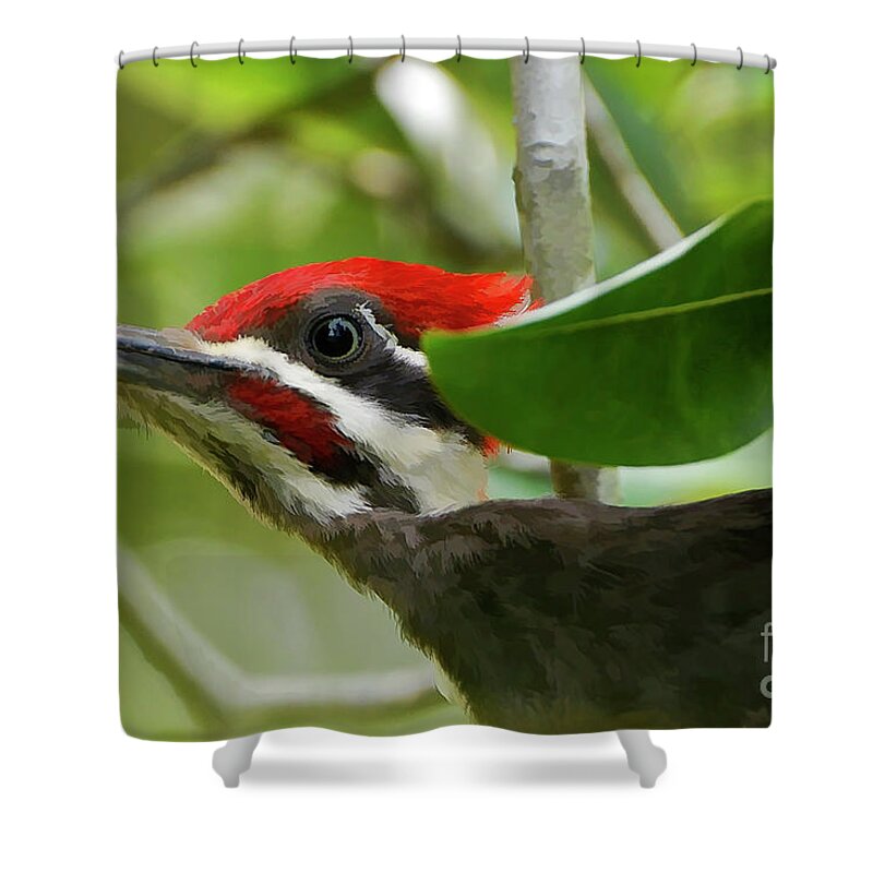 Pileated Woodpecker Shower Curtain featuring the photograph Woodpecker Portrait by Kathy Baccari