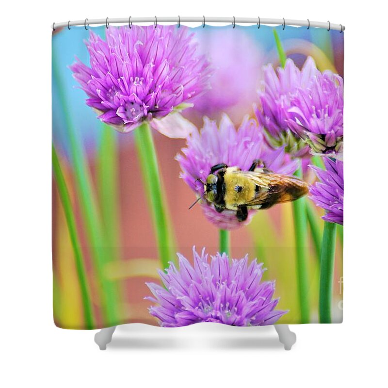 Chives Shower Curtain featuring the photograph Working all the Angles by Merle Grenz