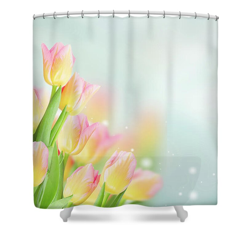 Pink Shower Curtain featuring the photograph Yellow And Pink Tulips by Anastasy Yarmolovich