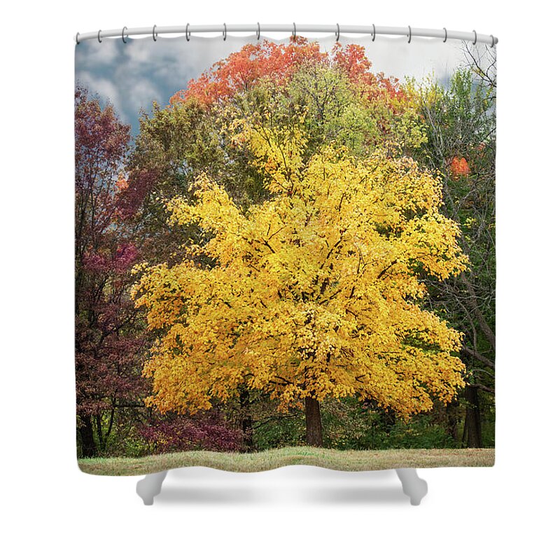Yellow Leaves Shower Curtain featuring the photograph Yellow Autumn by Ed Taylor