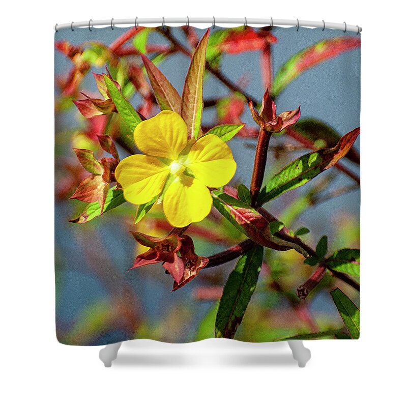 Yellow Flower Shower Curtain featuring the photograph Yellow flower surrounded by red leaves by Gene Bollig