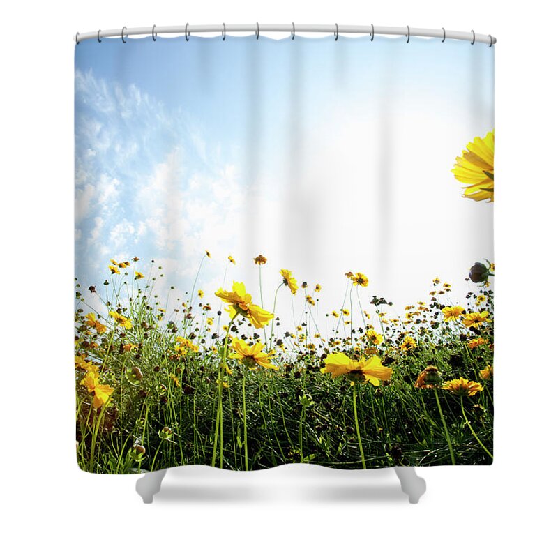 Hokkaido Shower Curtain featuring the photograph Yellow Flowers On The Field by Ichiro