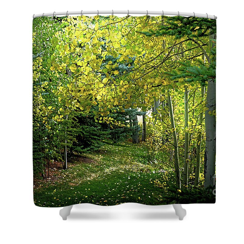 Aspen Shower Curtain featuring the digital art Yellow Tree Path by Deb Nakano