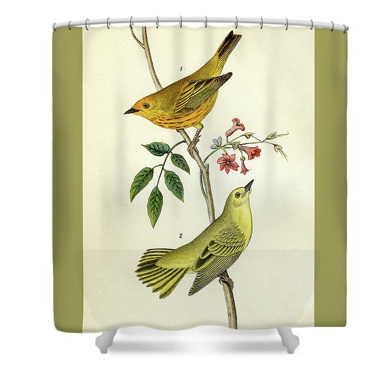 Bird Shower Curtain featuring the mixed media Yellow Warbler by Unknown