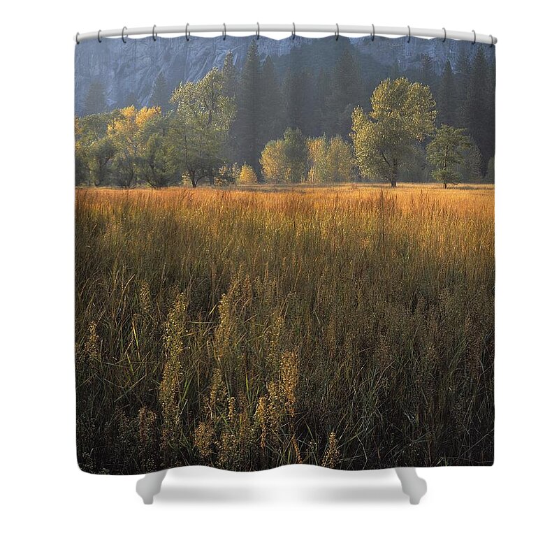 Scenics Shower Curtain featuring the photograph Yosemite National Park by Design Pics/natural Selection John Bracchi