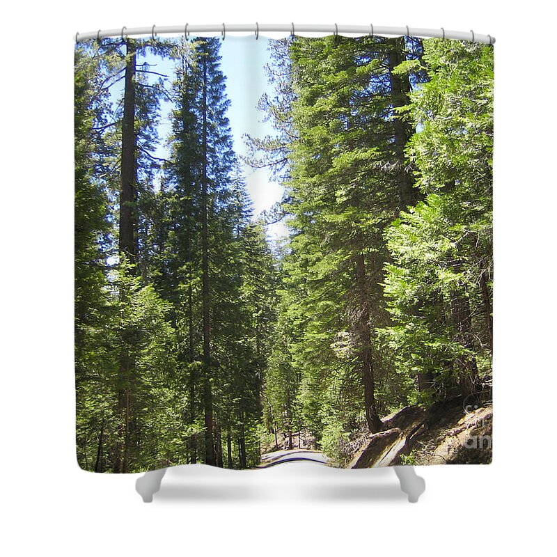 Yosemite Shower Curtain featuring the photograph Yosemite National Park Looking at Row After Row of Beautiful Trees Along the Road by John Shiron