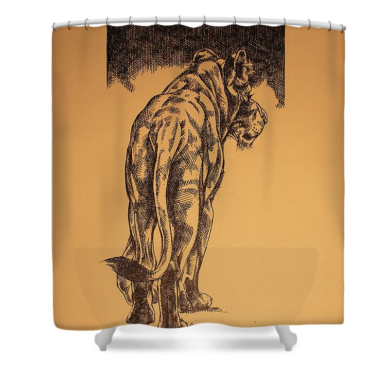 Lion Shower Curtain featuring the drawing Young Cub sketch by Derrick Higgins