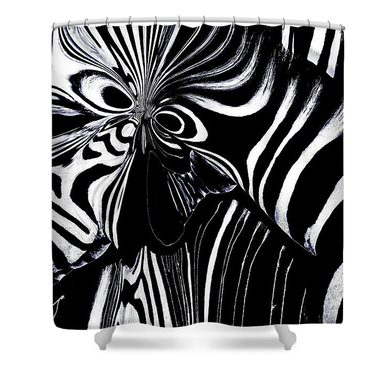 Abstract Shower Curtain featuring the photograph Zebra Art by Debra Kewley