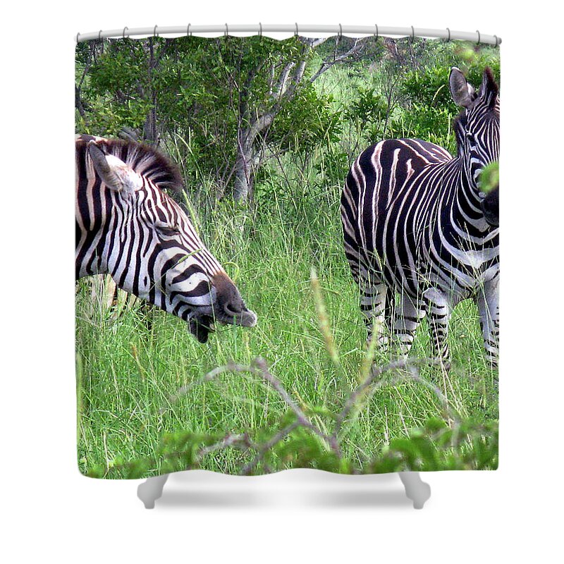 Zebra Shower Curtain featuring the photograph Zebra by Inge Elewaut