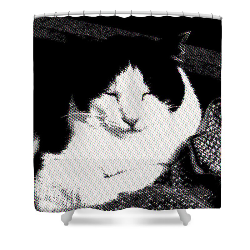 Cat Shower Curtain featuring the photograph Zen Cat by Mimulux Patricia No