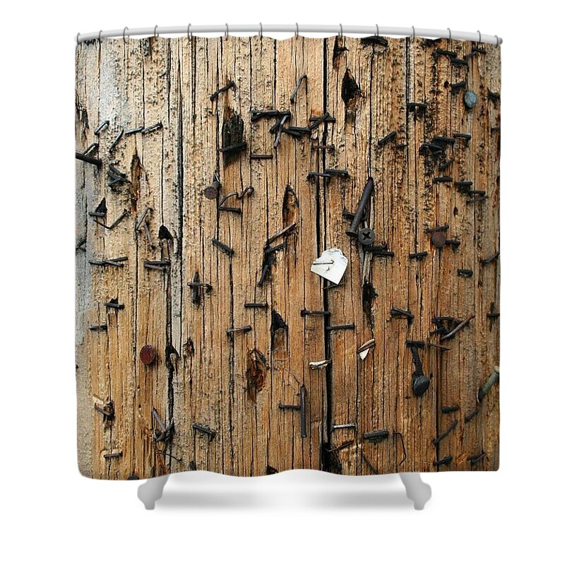 Mystic Shower Curtain featuring the photograph Zero Wood by By Rupert Ganzer