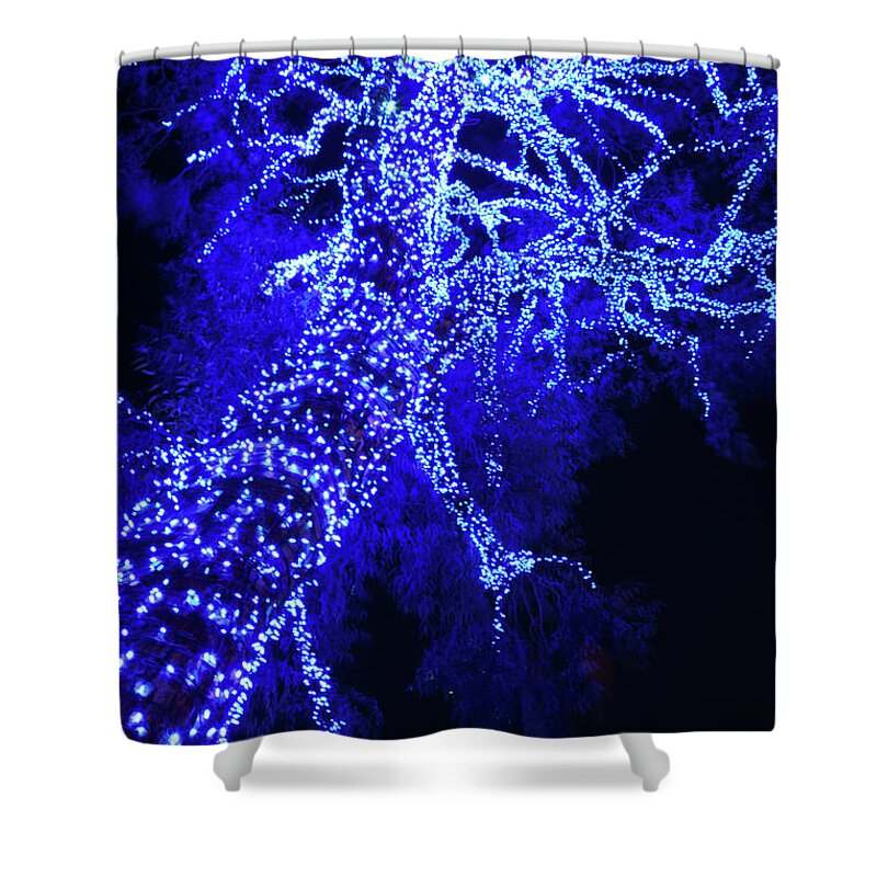  Shower Curtain featuring the photograph Tree in Blue Light by Catherine Walters