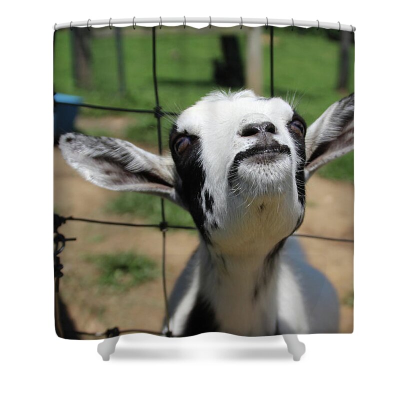 Goat Shower Curtain featuring the photograph A Goat's Smile by Demetrai Johnson