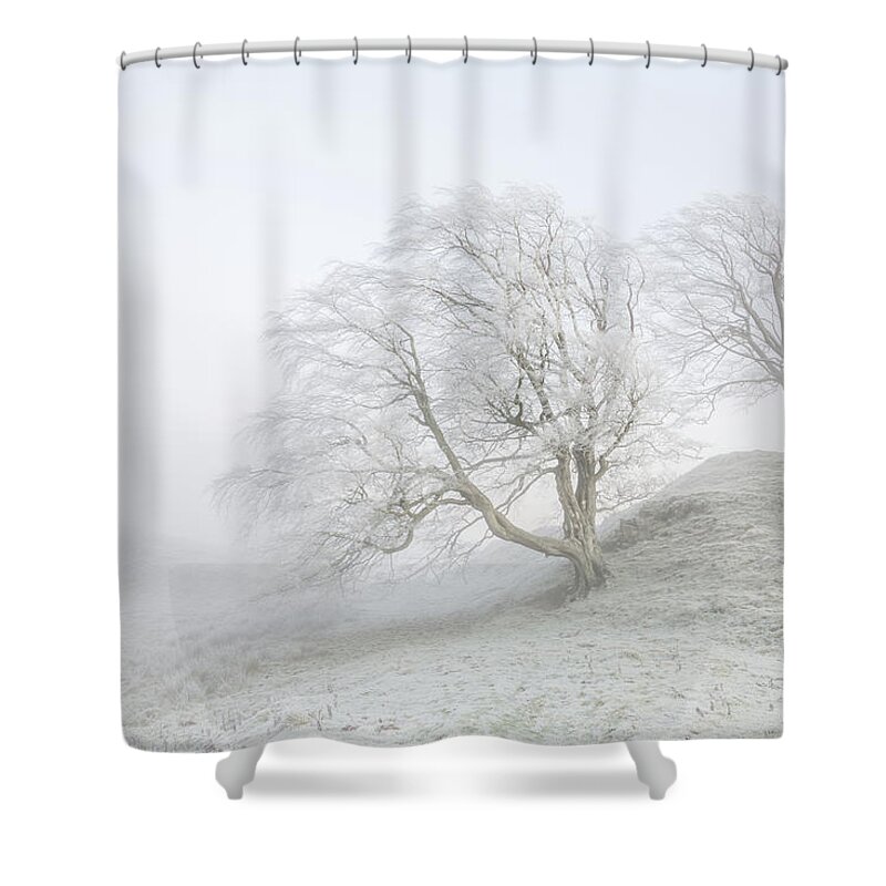 Winter Shower Curtain featuring the photograph Sentinels by Anita Nicholson