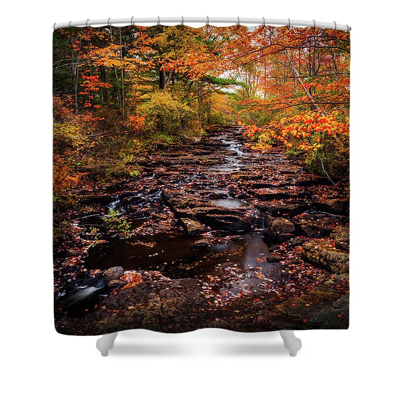 Acadia National Park Shower Curtain featuring the photograph Acadia Autumn 34a0765 #1 by Greg Hartford