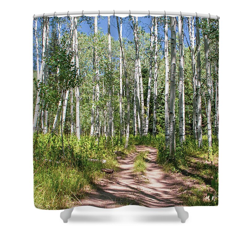 Tranquil Shower Curtain featuring the photograph Aspen Trail #1 by K Bradley Washburn