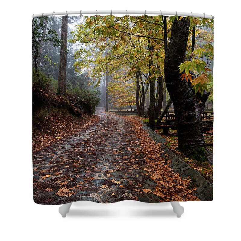 Autumn Shower Curtain featuring the photograph Autumn landscape with trees and Autumn leaves on the ground after rain by Michalakis Ppalis