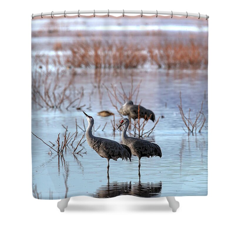 Southwest Shower Curtain featuring the photograph Balance #1 by Robert Harris