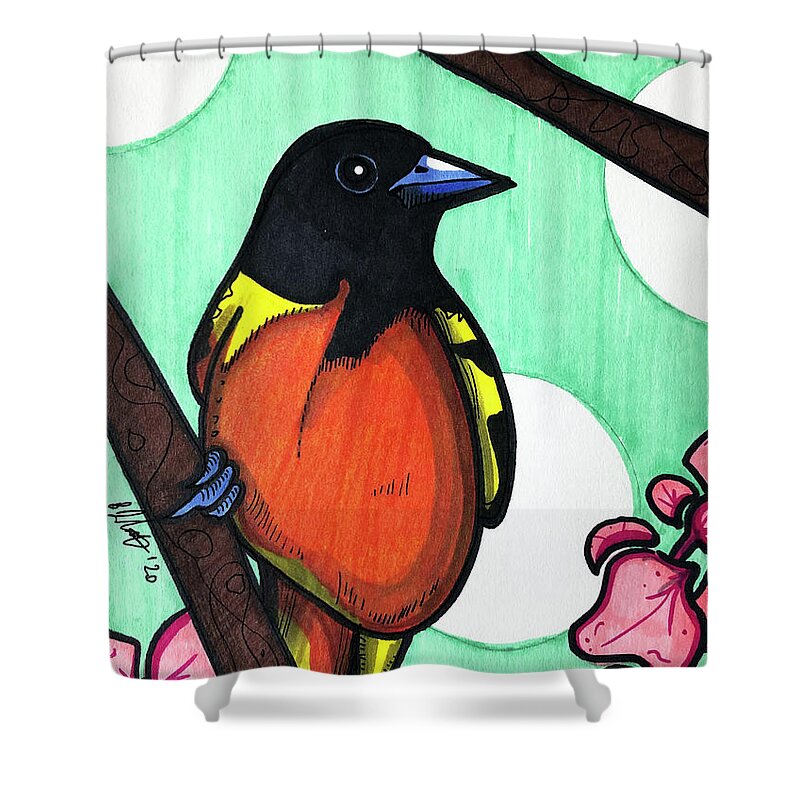 Baltimore Oriole Shower Curtain featuring the drawing Baltimore Oriole #1 by Creative Spirit
