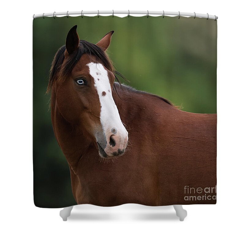 Blue Eye Shower Curtain featuring the photograph Blue Eye #1 by Shannon Hastings