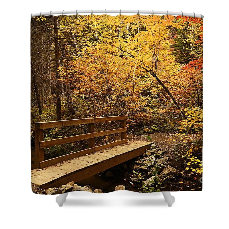 Landscape Shower Curtain featuring the photograph Bridge to Autumn #1 by Larry Ricker