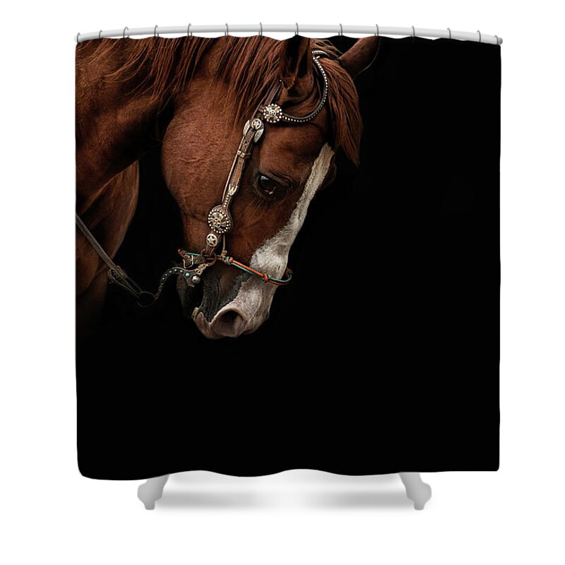 Quarter Horse Shower Curtain featuring the photograph Bridled #1 by Ryan Courson