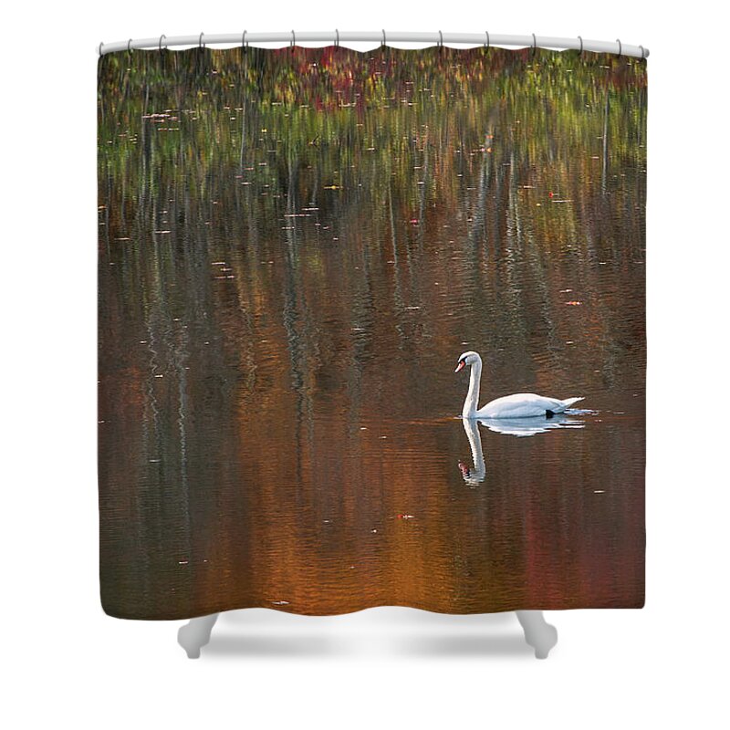 New England Shower Curtain featuring the photograph By The Pond #1 by Jean-Pierre Ducondi