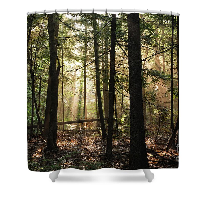 Auto Road Shower Curtain featuring the photograph Cathedral Ledge State Park - White Mountains New Hampshire #2 by Erin Paul Donovan