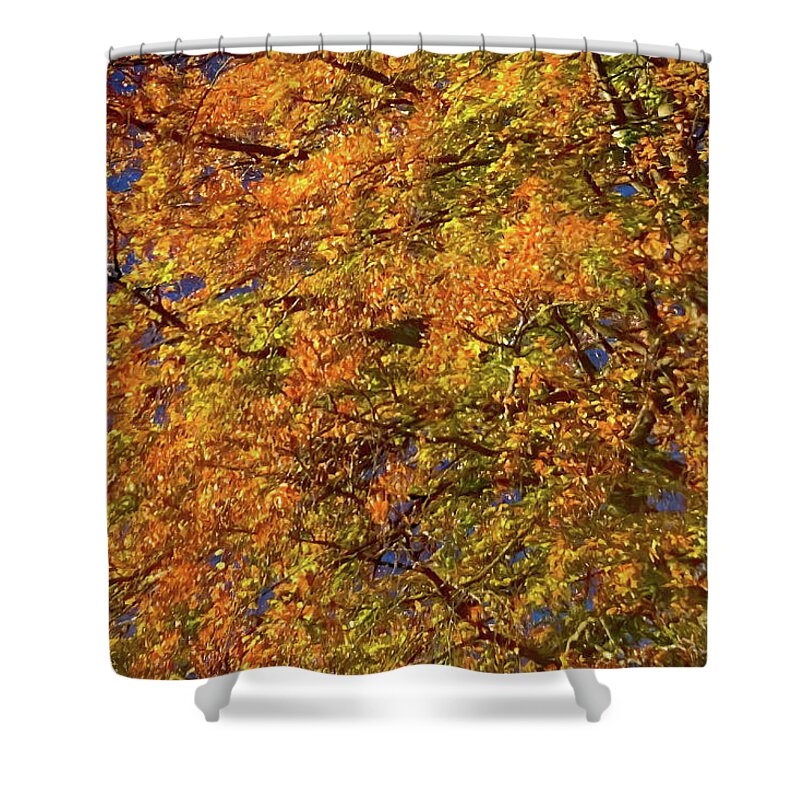 Tree Shower Curtain featuring the painting Changing Leaves #1 by Russ Harris