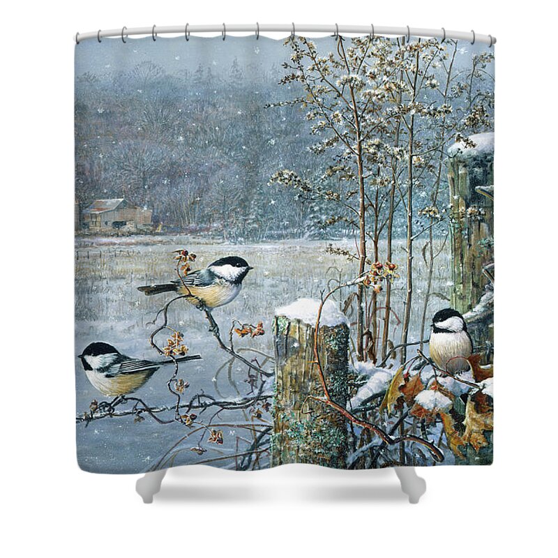 Scott Zoellick Shower Curtain featuring the painting Chicadees by Scott Zoellick
