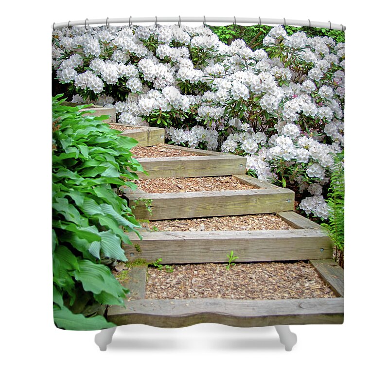Rhododendron Shower Curtain featuring the photograph Cornell Botanic Gardens #7 by Mindy Musick King