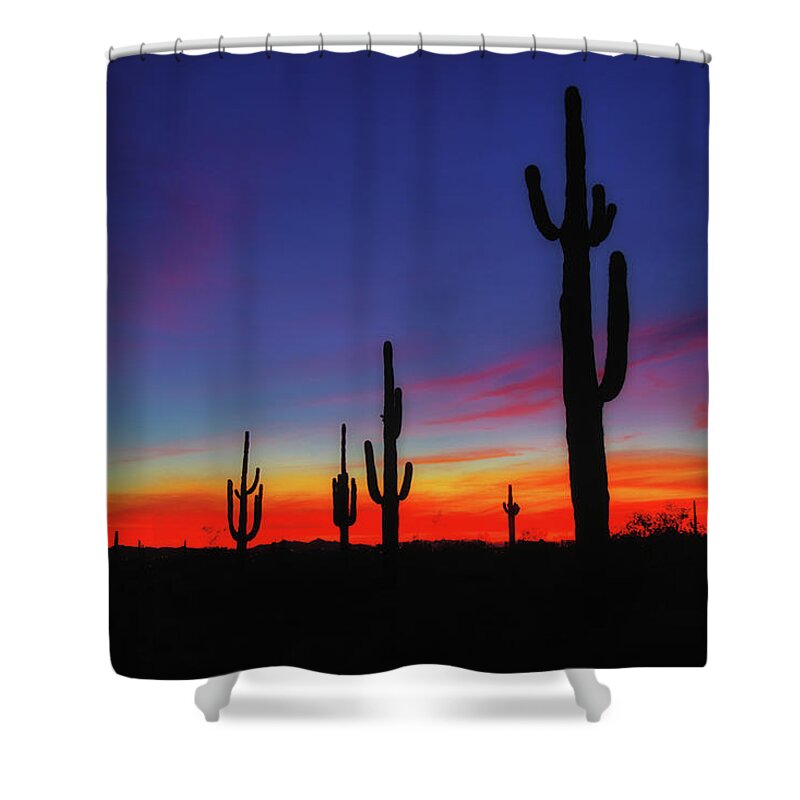 Desert Shower Curtain featuring the photograph Desert Sunset by Bob Falcone