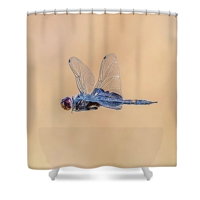 Dragon Fly Shower Curtain featuring the photograph Dragon Fly by Jerry Cahill