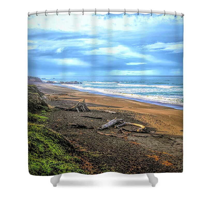 Seascape Shower Curtain featuring the photograph Driftwood Moonstone Beach 2 #1 by Barbara Snyder