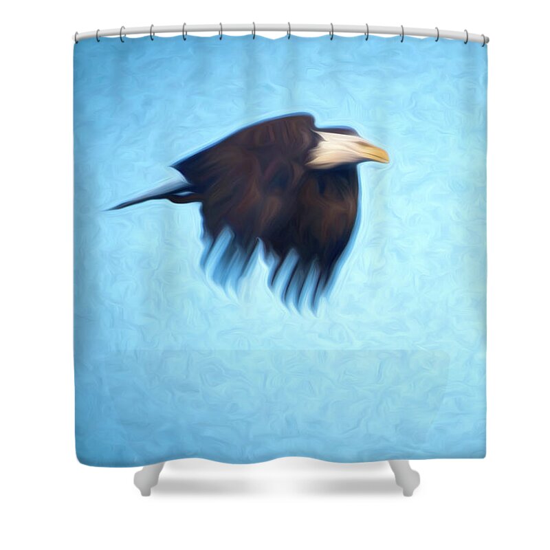 Digital Art Shower Curtain featuring the photograph Eagle in flight #1 by Jim Pearson
