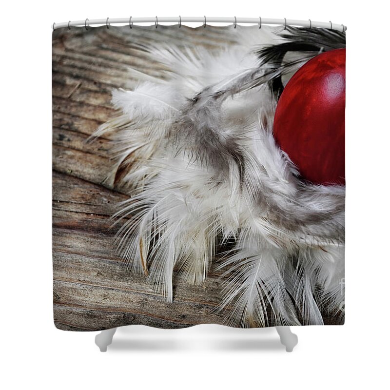Easter Shower Curtain featuring the photograph Easter Egg #1 by Jelena Jovanovic
