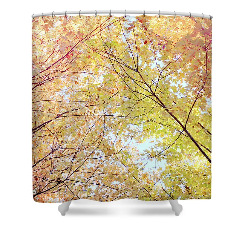 Fall Trees Shower Curtain featuring the photograph Fairytale Fall #1 by Kathi Mirto