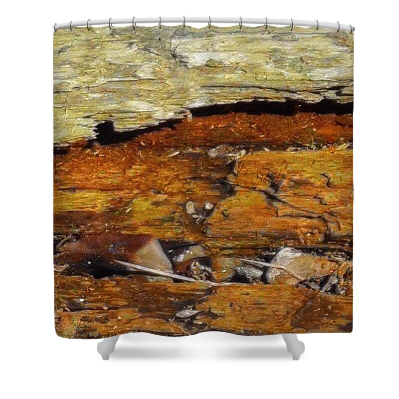 Tree Shower Curtain featuring the mixed media Fallen Tree by Christopher Reed