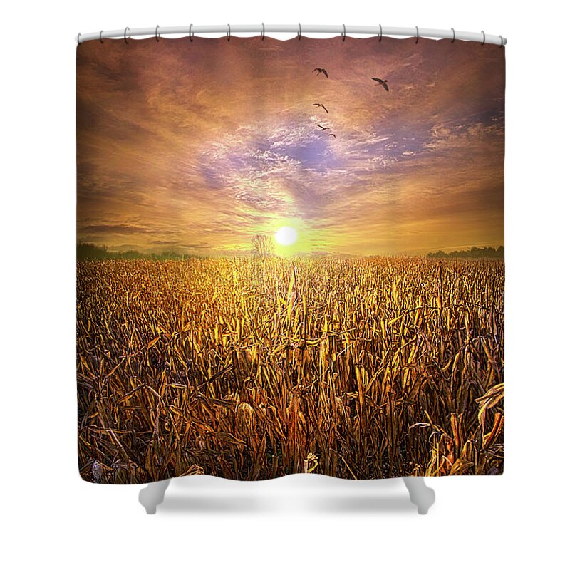 Sun Shower Curtain featuring the photograph Freedom #1 by Phil Koch