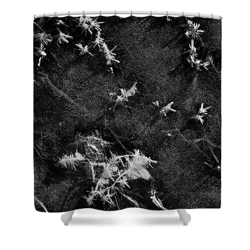 Nature Photography Shower Curtain featuring the photograph Frost Plumes #1 by Tom Daniel