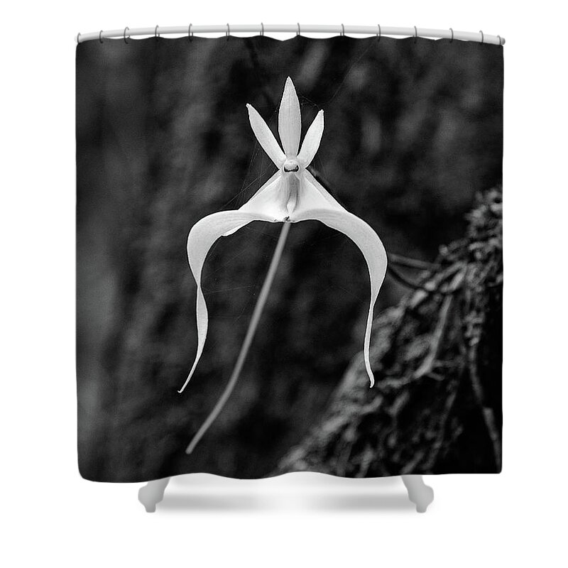 Black & White Shower Curtain featuring the photograph Ghost Orchid 3 #2 by Rudy Wilms