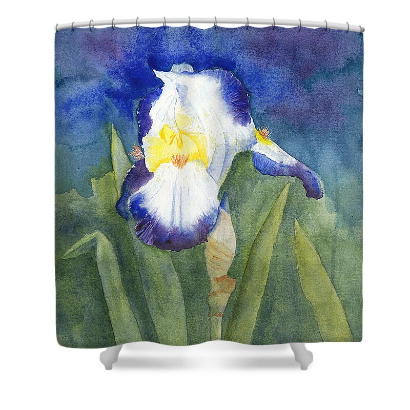 Iris Shower Curtain featuring the painting Glowing Evening Iris Watercolor #2 by Conni Schaftenaar