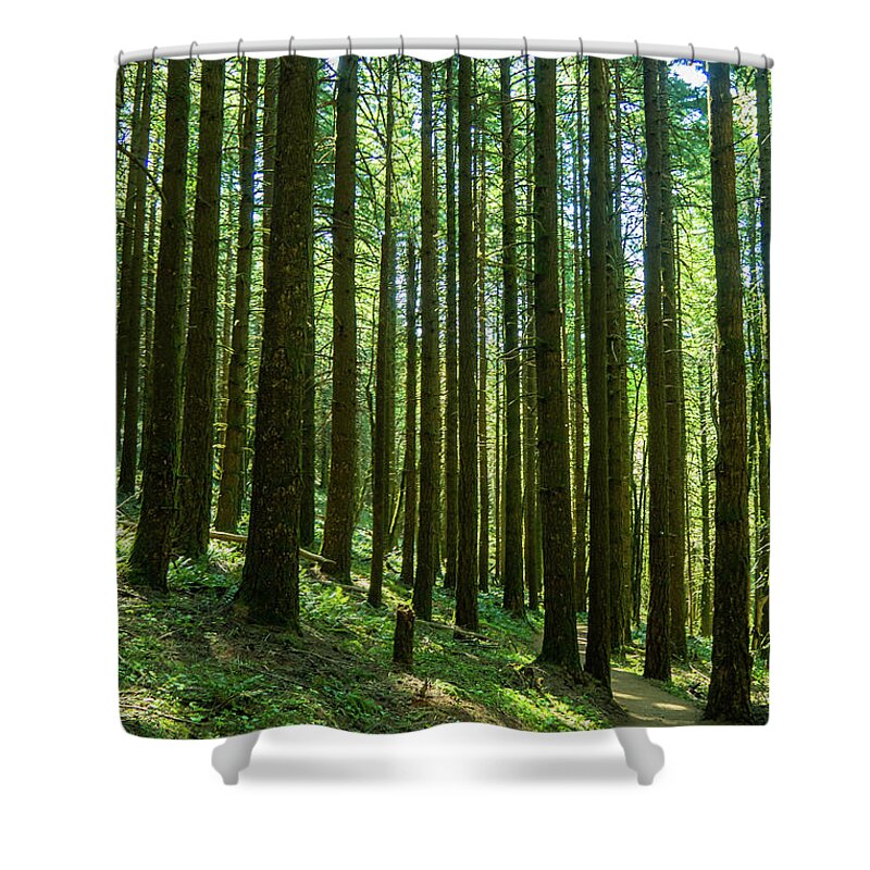 Columbia River Gorge Shower Curtain featuring the photograph Go Take A Hike by Leslie Struxness