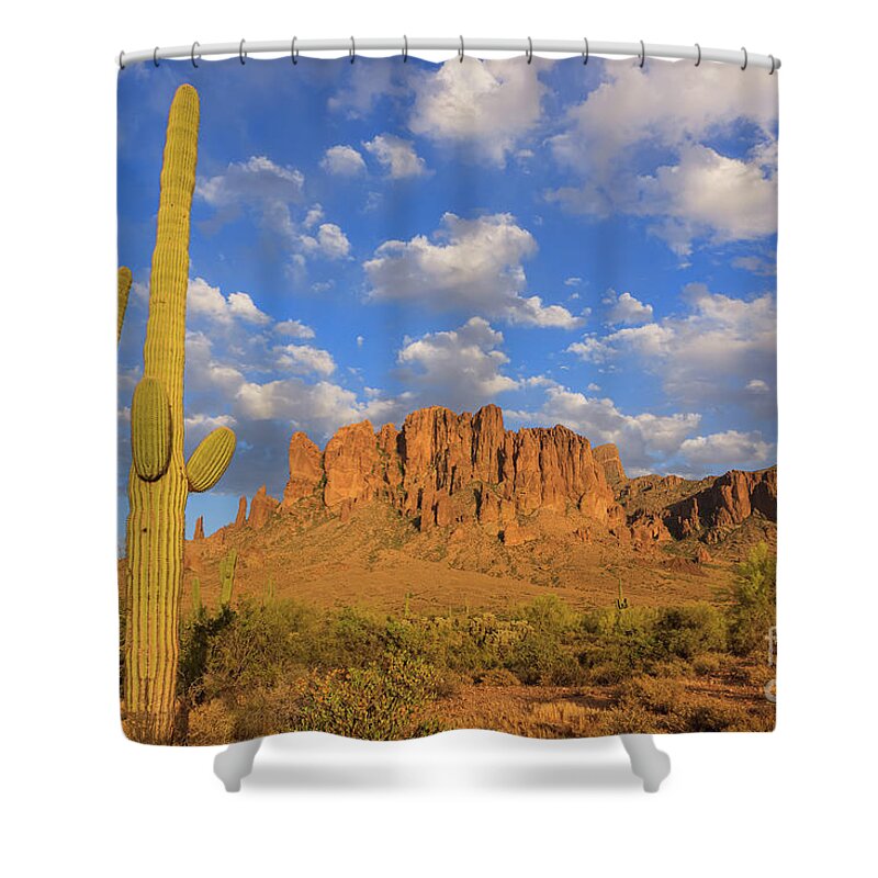 Apache Junction Shower Curtain featuring the photograph Lost Dutchman State Park, Arizona #1 by Henk Meijer Photography