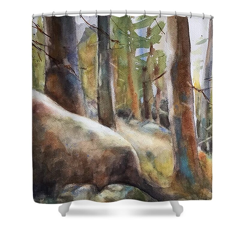 Watercolor Shower Curtain featuring the painting Lost in the Woods #1 by Judith Levins